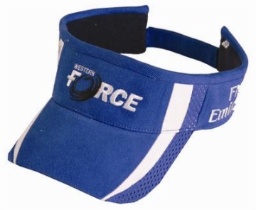 Sun visors