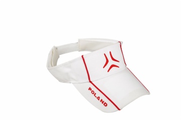 SUN VISORS